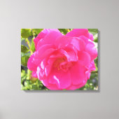 Toile Rose rose rose (Recto)