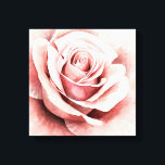 Toile Rose rose rose<br><div class="desc">Rose I par Grace Popp. Dispose d'un rose tout proche dans une belle palette muette.</div>