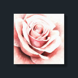 Toile Rose rose rose<br><div class="desc">Rose I par Grace Popp. Dispose d'un rose tout proche dans une belle palette muette.</div>