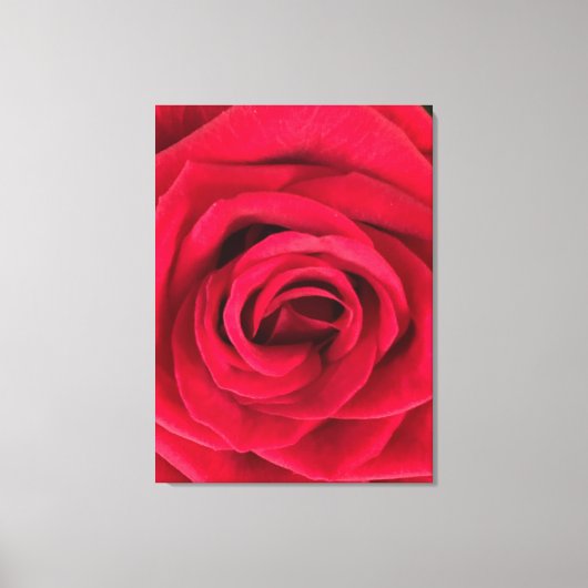 Toile Rose rouge (Recto)