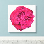 Toile Rose rouge (Insitu (Plancher de Bois))