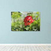 Toile Rose rouge (Insitu (Plancher de Bois))