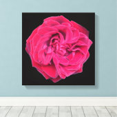 Toile Rose rouge (Insitu (Plancher de Bois))