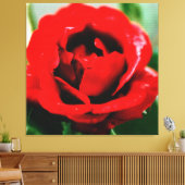 Toile Rose rouge avec gouttes de ragoût (Insitu(Salon))