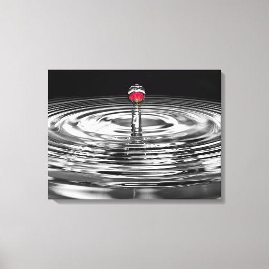 Toile rose rouge dans une goutte d'eau (Recto)