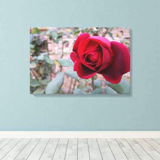 Toile Rose rouge d'automne (Insitu (Plancher de Bois))