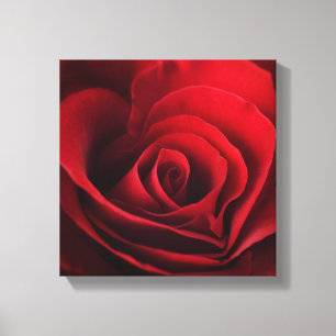 Toile Rose rouge de Valentine