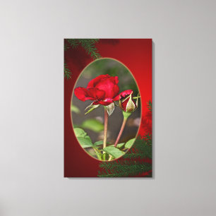 Toile Rose rouge et "Bud"dy - Noël