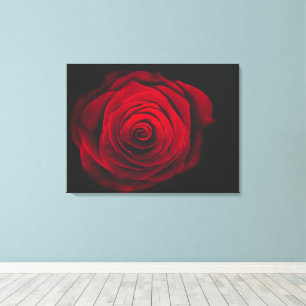 Toile Rose rouge sur fond noir effet vintage