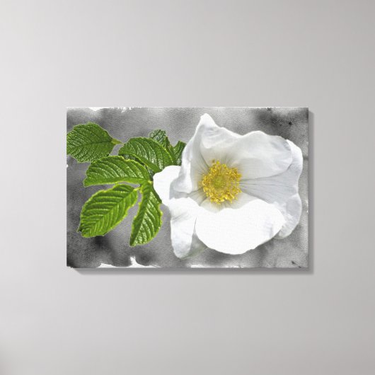 Toile Rose sauvage de plage blanche (Recto)