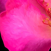 Toile Rose stylo à plumes