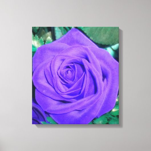 Toile Rose violette profonde enrobée (Recto)