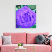 Toile Rose violette profonde enrobée (Insitu(Salon))
