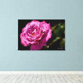 Toile Rose Visage Angel Haut (Insitu (Plancher de Bois))