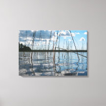 Roseaux et reflets sur le lac Rice