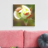 Toile rosebud brillant (Insitu(Salon))