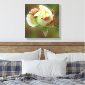 Toile rosebud brillant (Insitu(Chambre))