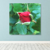 Toile rosebud rouge (Insitu (Plancher de Bois))