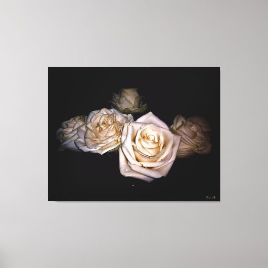 Toile Roses blanches sur fond sombre (Recto)
