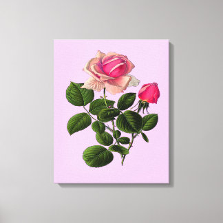 Toile Roses de thé rose