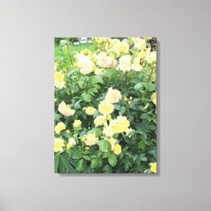Toile Roses jaunes
