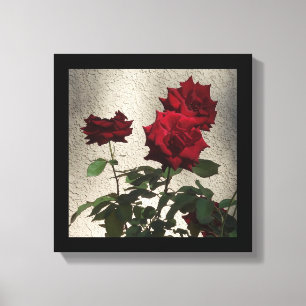 Toile Roses rouges de 12 po x 12 po sur Stucco blanc Pho