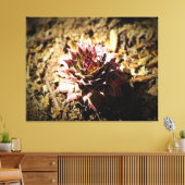 Toile Rosette Succulente dans le Sol (Insitu(Salon))