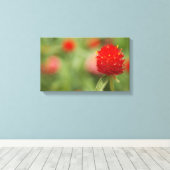 Toile rouge (Insitu (Plancher de Bois))