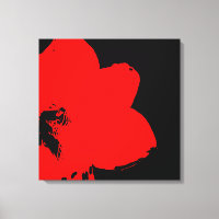 Rouge Amaryllis