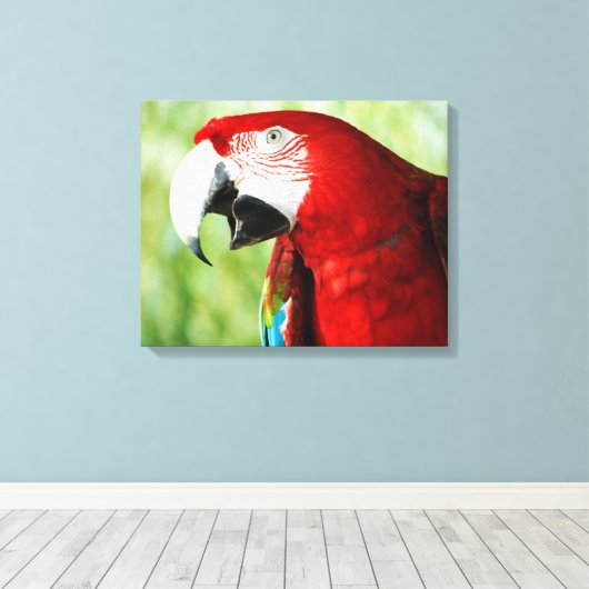 Toile Rouge brillant (Insitu (Plancher de Bois))