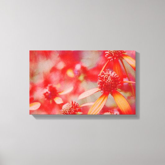 Toile Rouge Floral (Recto)