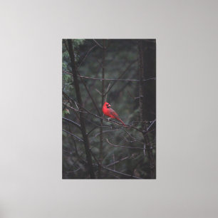 Toile Rouge magique