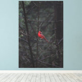 Toile Rouge magique (Insitu (Plancher de Bois))