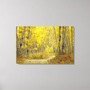 Toile Route avec couleurs d'automne et trembles à Kebler