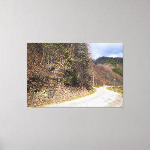 Toile Route forestière de montagne - Nature sauvage Roum