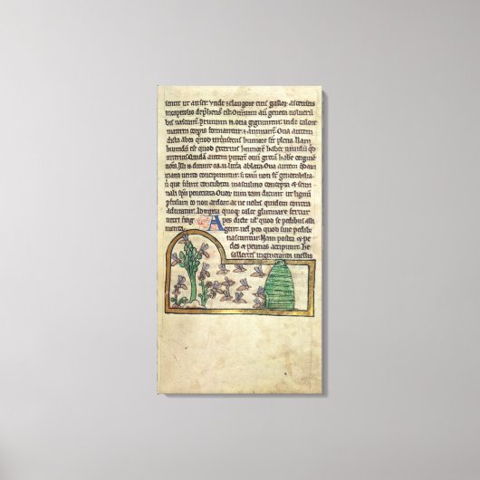 Toile Roy Page de texte avec illustration (Recto)