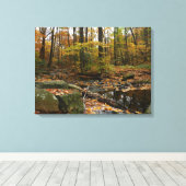 Toile Ruisseau de Fall avec reflet au parc Laurel Hill (Insitu (Plancher de Bois))