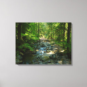 Toile Ruisseau Laughingwater au Parc national du mont Ra