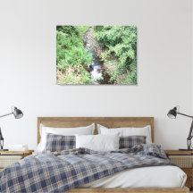 Ruisseau Peaceful Creek 2