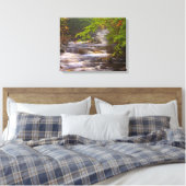 Toile Ruisseaux le long du sentier des Appalaches (Insitu(Chambre))