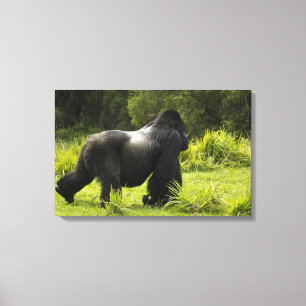 Toile Rwanda, Parc national des Volcans