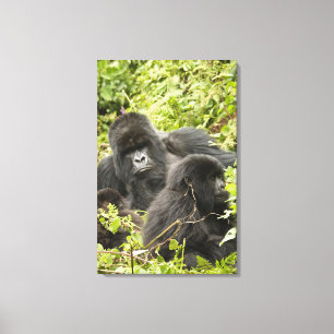 Toile Rwanda, Parc national des Volcans