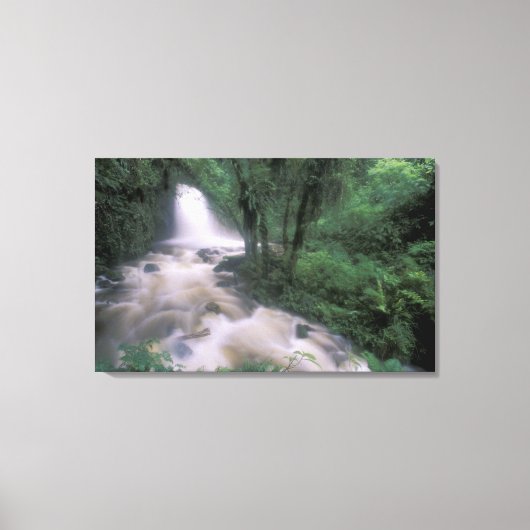 Toile SA, Pérou, S.H. Machu Picchu, Cascade et nuage (Recto)