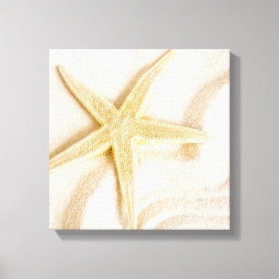 Toile Sable et Starfish couleur neutre naturelle