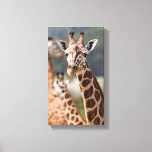 Toile Safari Afrique Giraffe