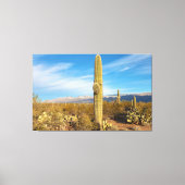 Toile Saguaro (Recto)