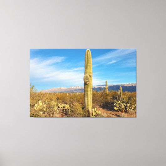 Toile Saguaro (Recto)