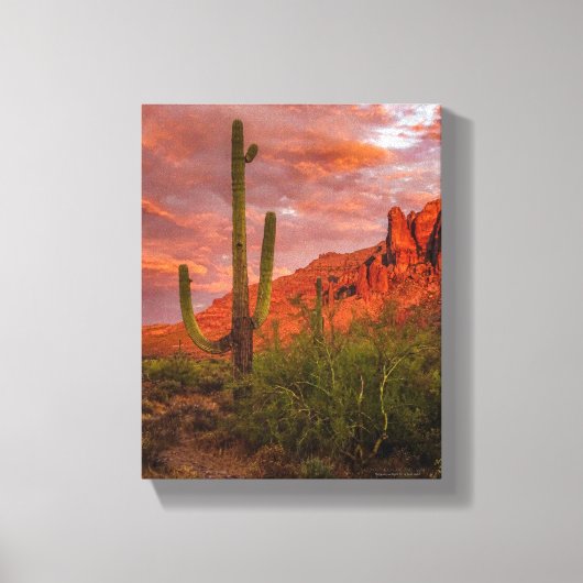 Toile Saguaro Cactus Arizona Coucher de soleil Terracott (Recto)