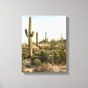 Toile Saguaro Cactus, Arizona, USA