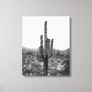 Toile Saguaro Cactus du désert noir et blanc 16x20